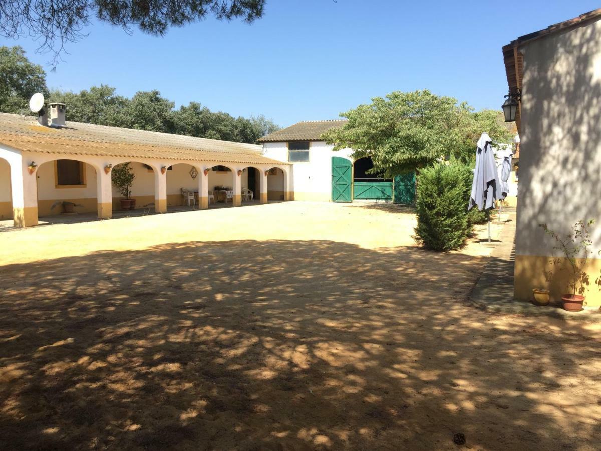 El Rocio 1 Gites Equestre Saintes-Maries-de-la-Mer Exterior foto